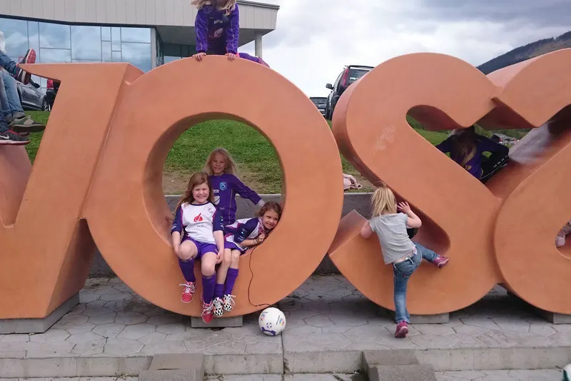 Voss Cup