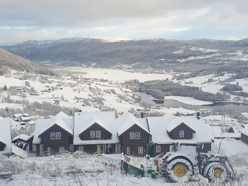 The neighbourhood in snow
