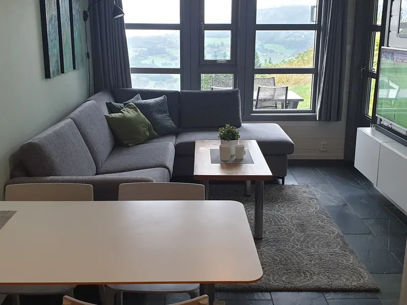 Living room with a view
