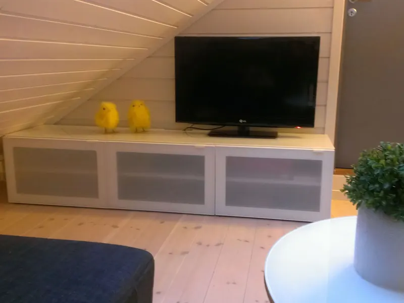 TV in the loft